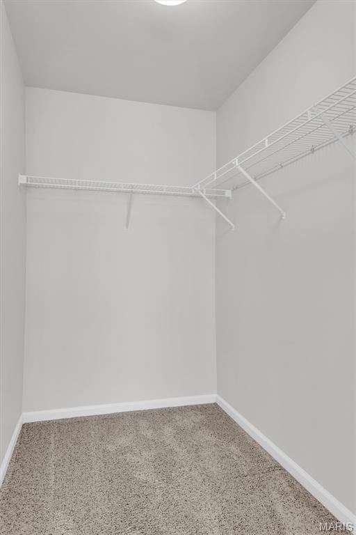 30 Hill Ridge Ct Unit 14, Saint Charles, MO 63303 - photo 30