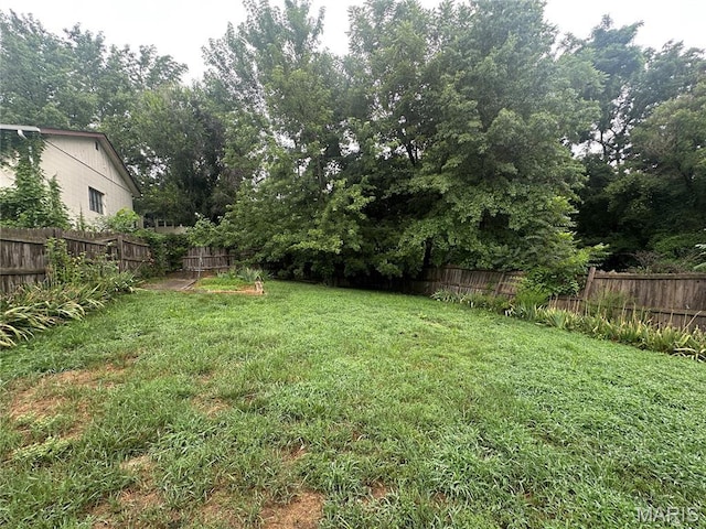806 Pleasant St, Hannibal, MO 63401 - view of fenced backyard