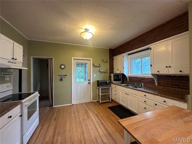 806 Pleasant St, Hannibal, MO 63401 - kitchen with electric range, under cabinet range hood, stainless steel microwave, plenty of natural light, and crown molding
