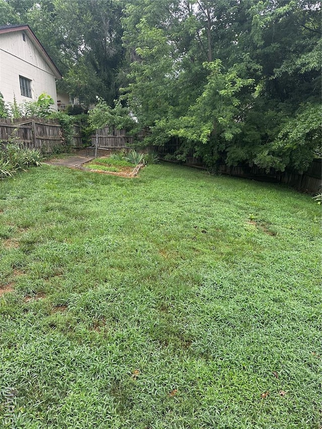 806 Pleasant St, Hannibal, MO 63401 - view of yard