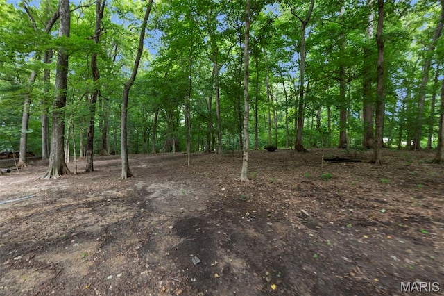 3124 County Road 214, Cape Girardeau, MO 63701 - photo 10