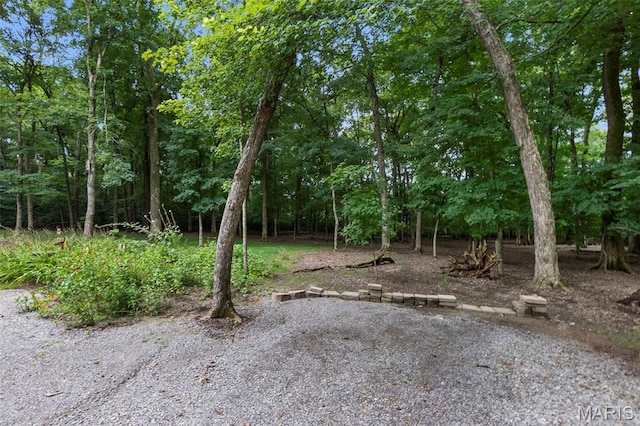 3124 County Road 214, Cape Girardeau, MO 63701 - photo 13