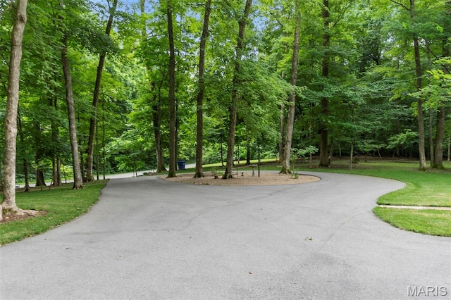 3124 County Road 214, Cape Girardeau, MO 63701 - photo 15