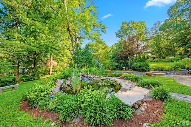 1407 Coburg Lands Dr, Bellefontaine Nghbrs, MO 63137 - photo 55