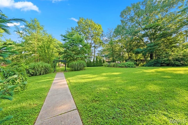 1407 Coburg Lands Dr, Bellefontaine Nghbrs, MO 63137 - photo 57