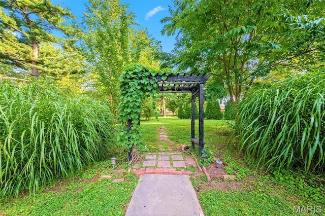 1407 Coburg Lands Dr, Bellefontaine Nghbrs, MO 63137 - photo 58