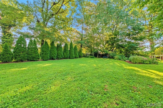 1407 Coburg Lands Dr, Bellefontaine Nghbrs, MO 63137 - photo 60