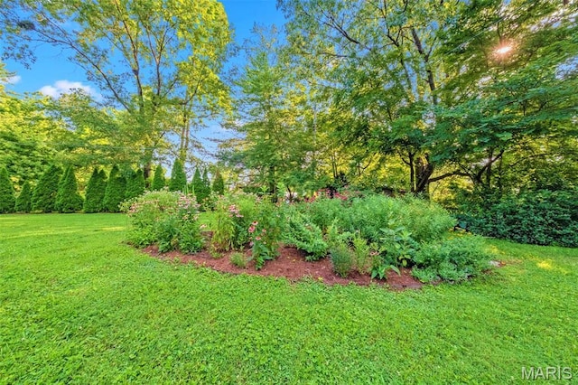 1407 Coburg Lands Dr, Bellefontaine Nghbrs, MO 63137 - photo 61