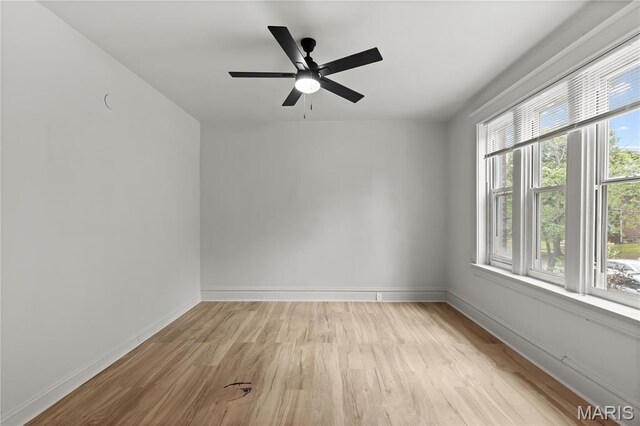 3648 Bamberger Ave, Saint Louis, MO 63116 - photo 4