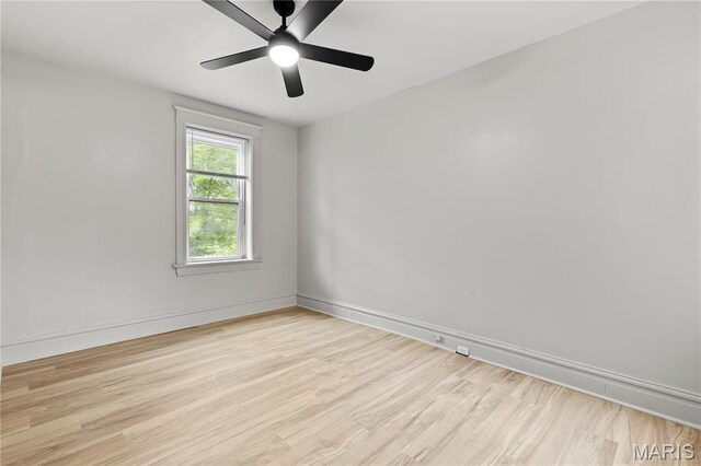 3648 Bamberger Ave, Saint Louis, MO 63116 - photo 14