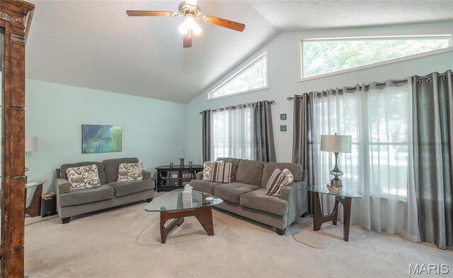 21200 Reason Ln, Waynesville, MO 65583 - photo 3
