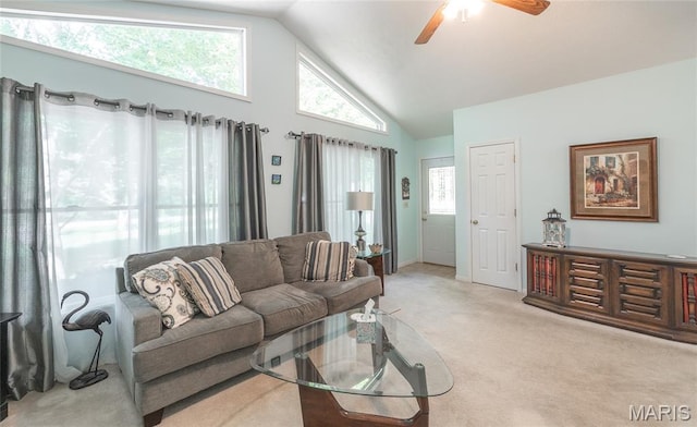 21200 Reason Ln, Waynesville, MO 65583 - photo 4