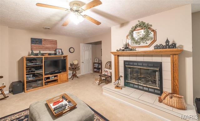 21200 Reason Ln, Waynesville, MO 65583 - photo 24