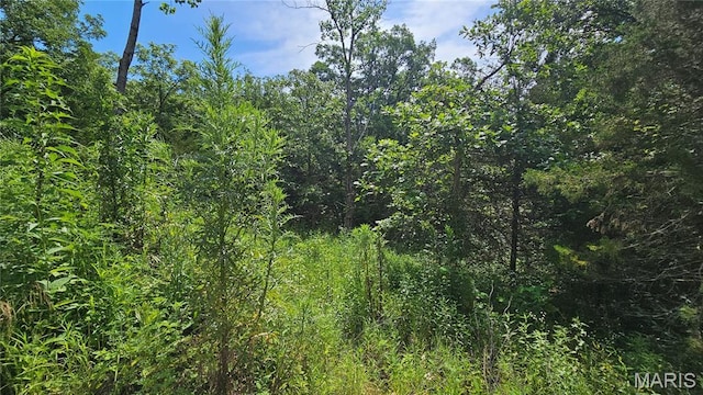 13807 Boxwood St, La Belle, MO 63447 - photo 14