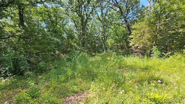 13807 Boxwood St, La Belle, MO 63447 - photo 16