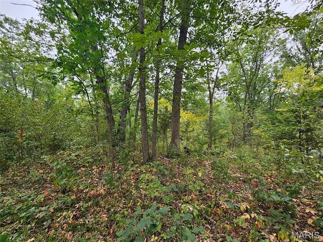 13807 Boxwood St, La Belle, MO 63447 - photo 17