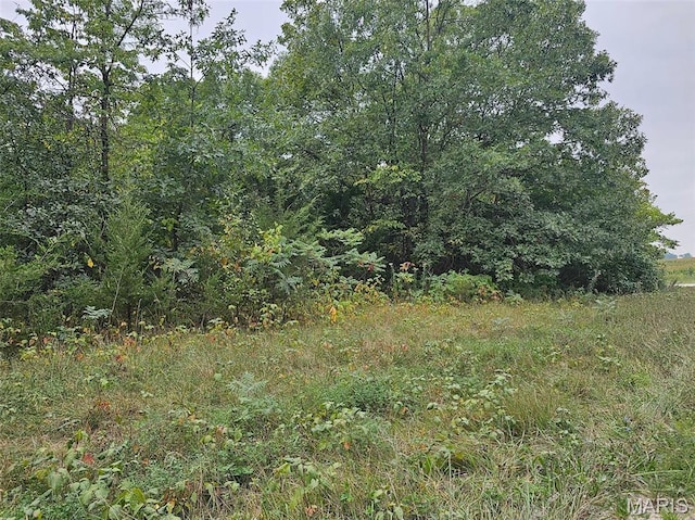 13807 Boxwood St, La Belle, MO 63447 - photo 18
