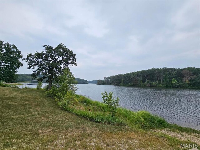 13807 Boxwood St, La Belle, MO 63447 - photo 22