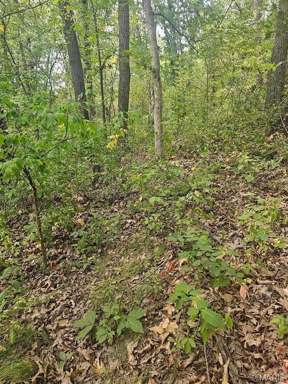13807 Boxwood St, La Belle, MO 63447 - photo 26