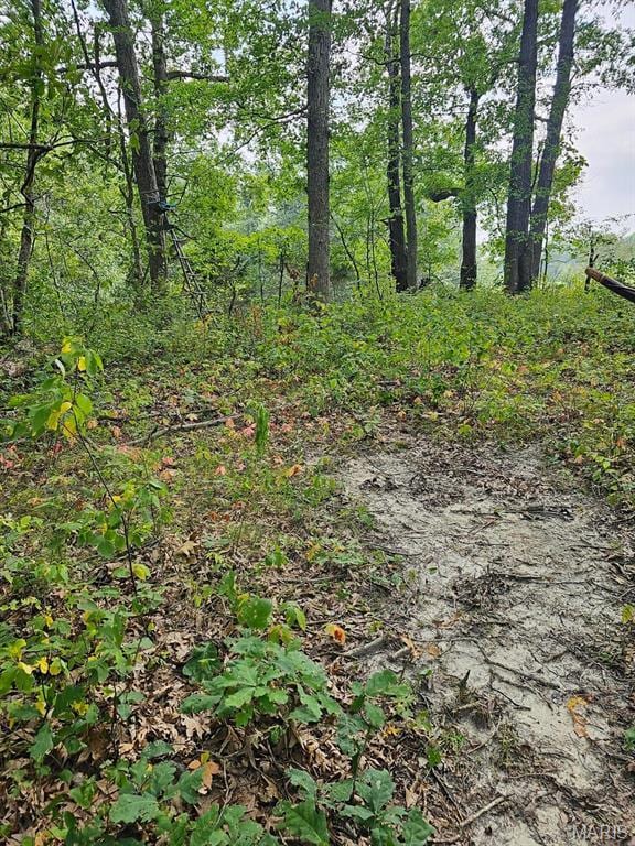 13807 Boxwood St, La Belle, MO 63447 - photo 27