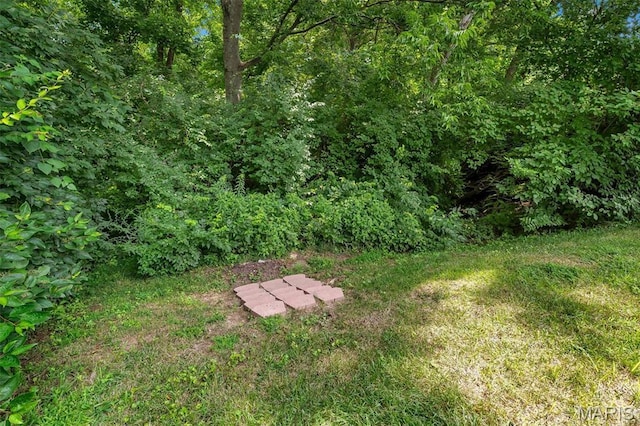 2203 Brookview Dr, Washington, MO 63090 - photo 9