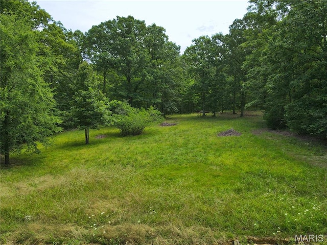123 Buttry Ln, Wappapello, MO 63966
