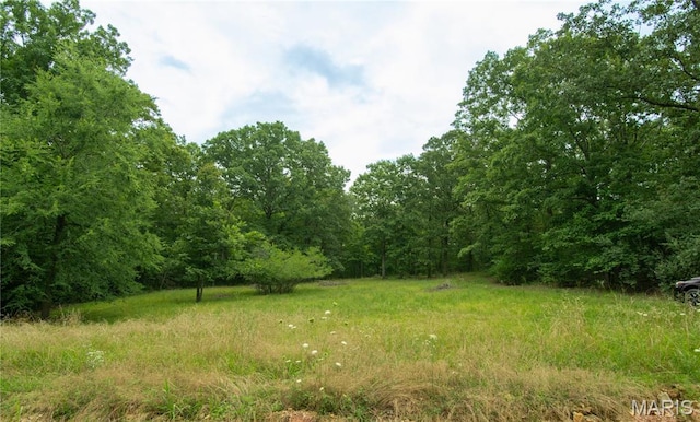 123 Buttry Ln, Wappapello, MO 63966