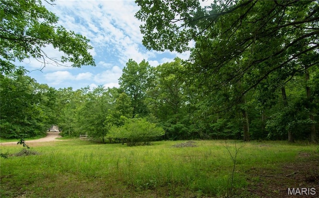 123 Buttry Ln, Wappapello, MO 63966