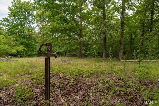 123 Buttry Ln, Wappapello, MO 63966