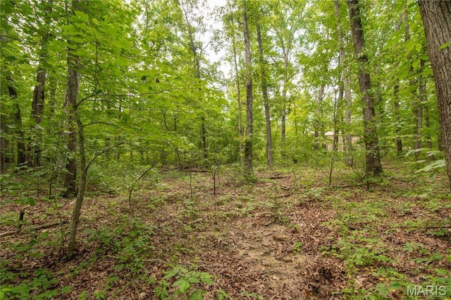 123 Buttry Ln, Wappapello, MO 63966