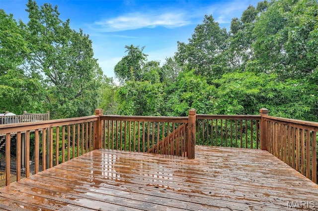 943 Shadow Pine Dr, Fenton, MO 63026 - photo 47