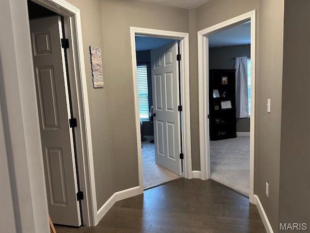 229 Ranchero Dr, Hamel, IL 62046 - photo 16