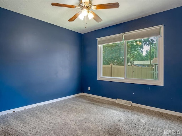 303 Eugenia Dr, Smithton, IL 62285 - photo 15