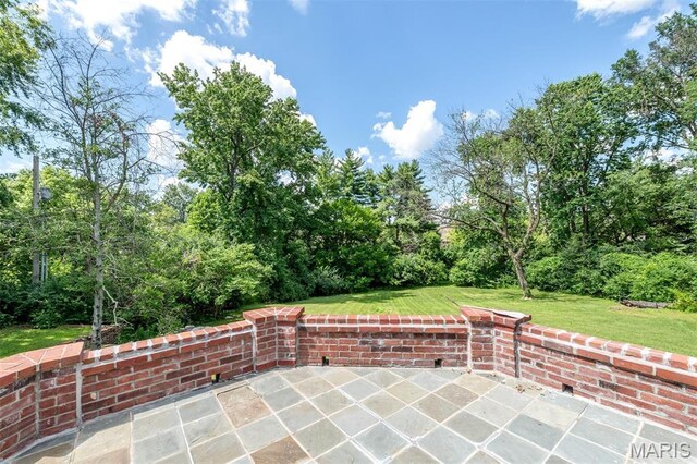 5 Huntleigh Downs Rd, Frontenac, MO 63131 - photo 75