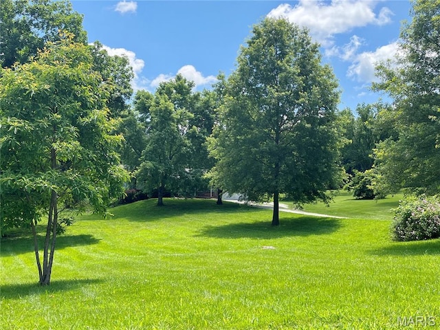 962 Martha Ave, Catawissa, MO 63015 - view of green lawn