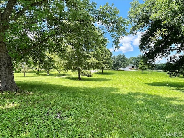 962 Martha Ave, Catawissa, MO 63015 - view of green lawn