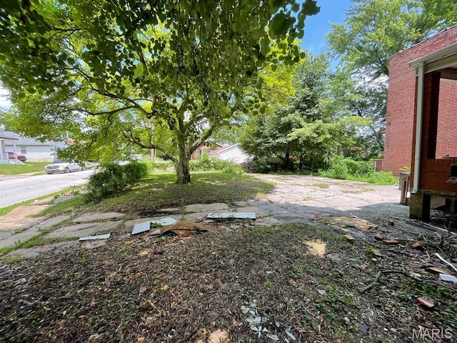1063 Hornsby Ave, Saint Louis, MO 63147 - view of yard