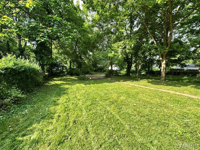6624 Bartmer Ave, University City, MO 63130 - view of green lawn