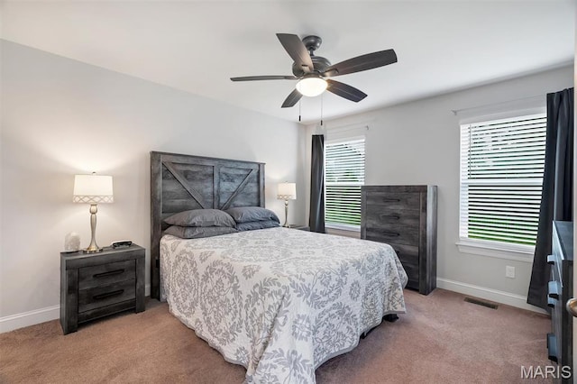 51 Grazing Way, Moscow Mills, MO 63362 - photo 14