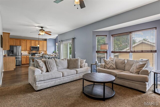 5103 Ruddy Ridge Ct, High Ridge, MO 63049 - photo 6