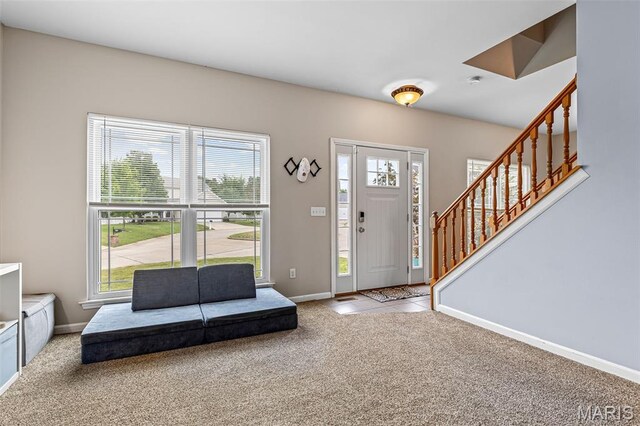 5103 Ruddy Ridge Ct, High Ridge, MO 63049 - photo 18
