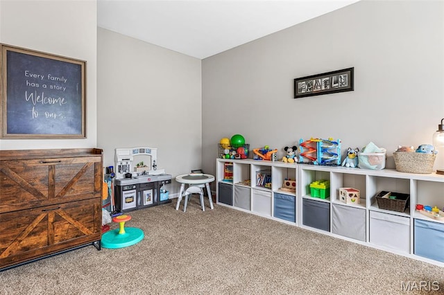 5103 Ruddy Ridge Ct, High Ridge, MO 63049 - photo 19