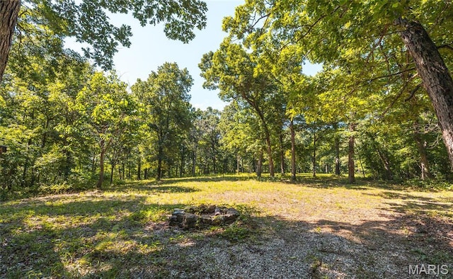 TBD Wedgewoood Rd, Eldon, MO 65026 - photo 1
