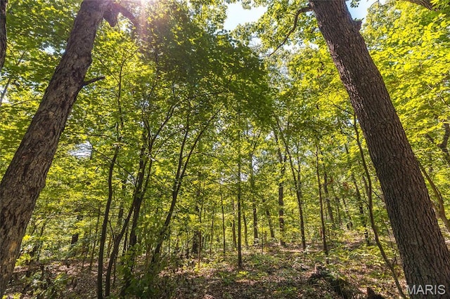 TBD Wedgewoood Rd, Eldon, MO 65026 - photo 4