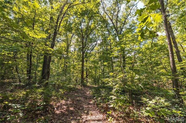 TBD Wedgewoood Rd, Eldon, MO 65026 - photo 6