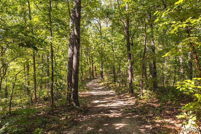 TBD Wedgewoood Rd, Eldon, MO 65026 - photo 7