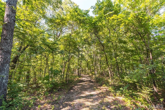 TBD Wedgewoood Rd, Eldon, MO 65026 - photo 8