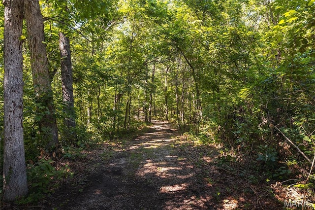 TBD Wedgewoood Rd, Eldon, MO 65026 - photo 9