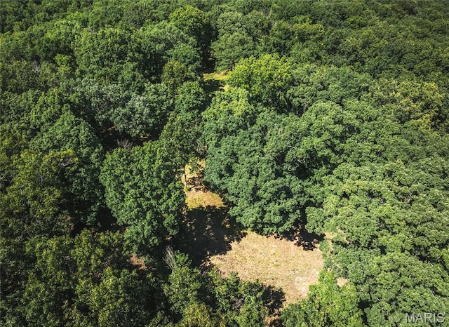 TBD Wedgewoood Rd, Eldon, MO 65026 - photo 11