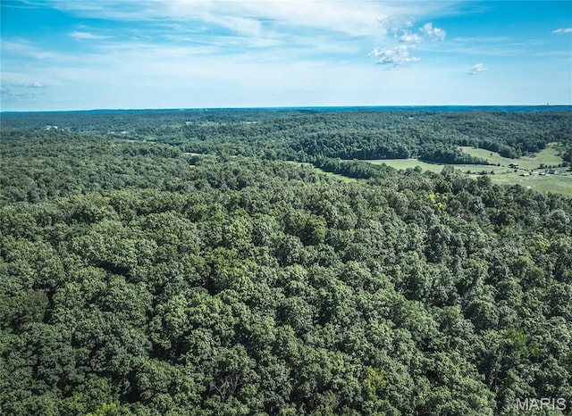 TBD Wedgewoood Rd, Eldon, MO 65026 - photo 22